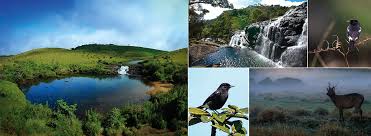 Horton Plains National Park